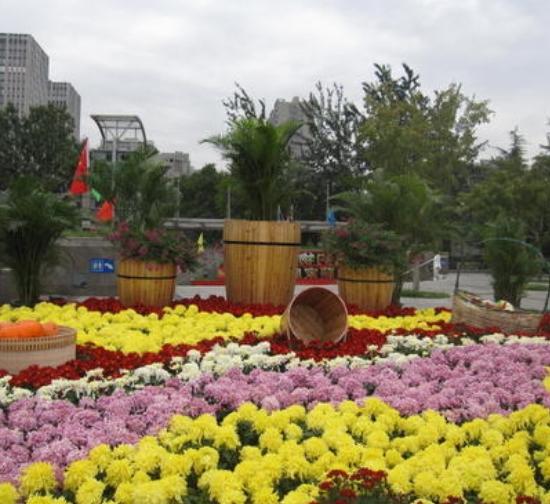 安庆城市菊展设计